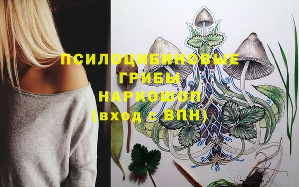тгк Абдулино